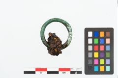 Foto von Bronzering (NHMW-PRAE-025845)